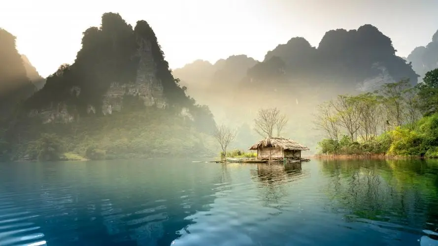 环保绿色全自动